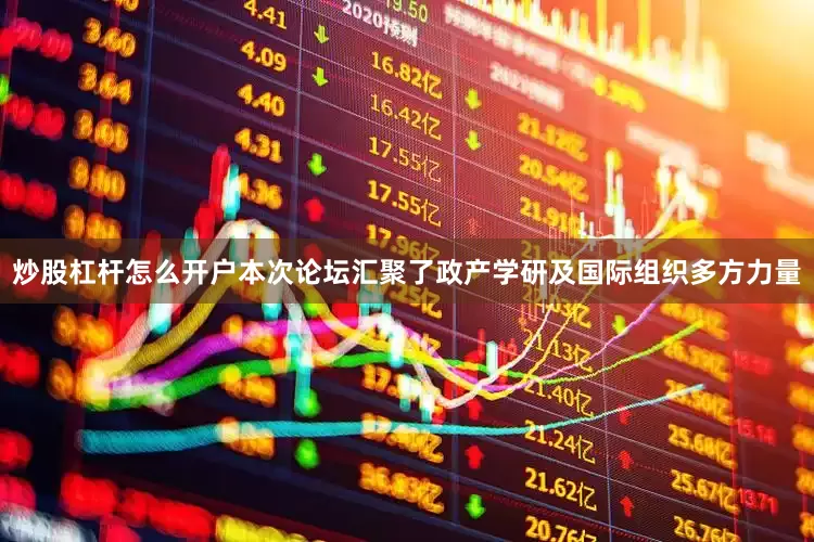炒股杠杆怎么开户本次论坛汇聚了政产学研及国际组织多方力量