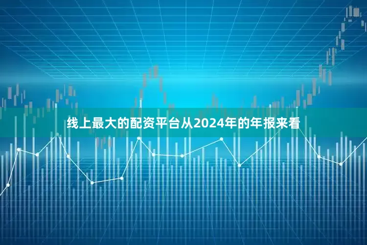线上最大的配资平台从2024年的年报来看