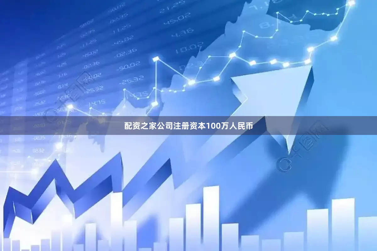 配资之家公司注册资本100万人民币