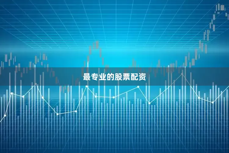 最专业的股票配资