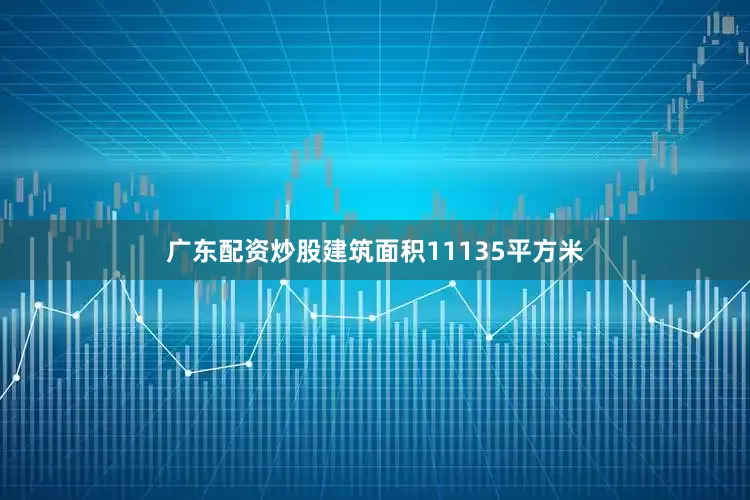 广东配资炒股建筑面积11135平方米