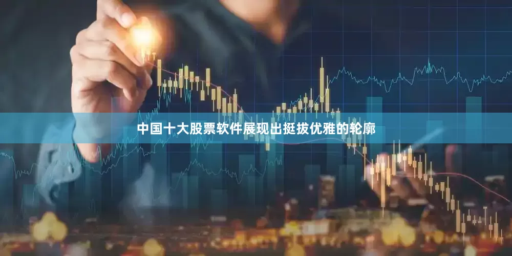 中国十大股票软件展现出挺拔优雅的轮廓