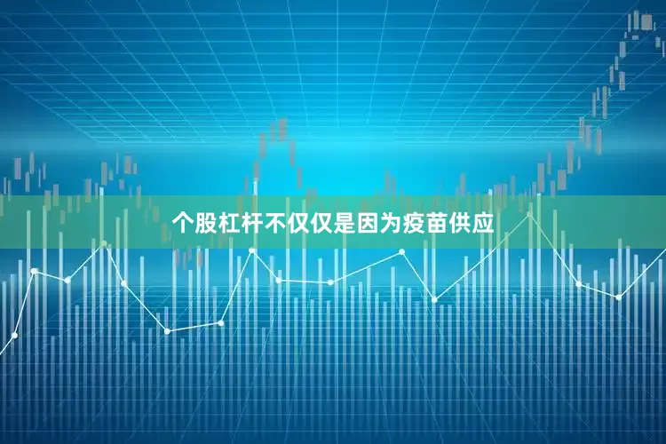 个股杠杆不仅仅是因为疫苗供应